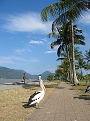 204 Cairns Esplanade